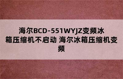 海尔BCD-551WYJZ变频冰箱压缩机不启动 海尔冰箱压缩机变频